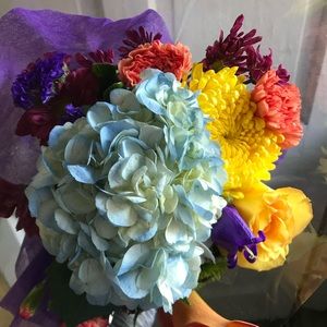 Meet your Posher, Lina